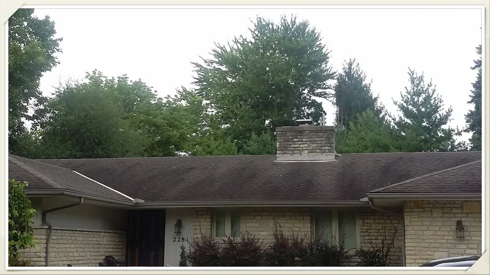 Slide of Forza Roof Cleaning