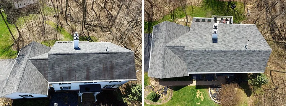 Slide of Forza Roof Cleaning