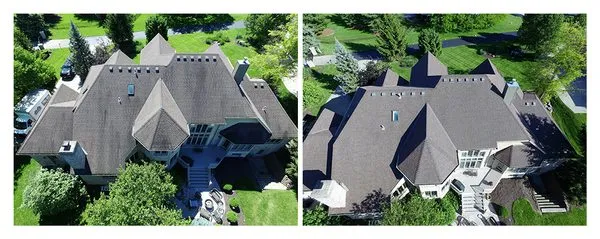 Forza Roof Cleaning Logo