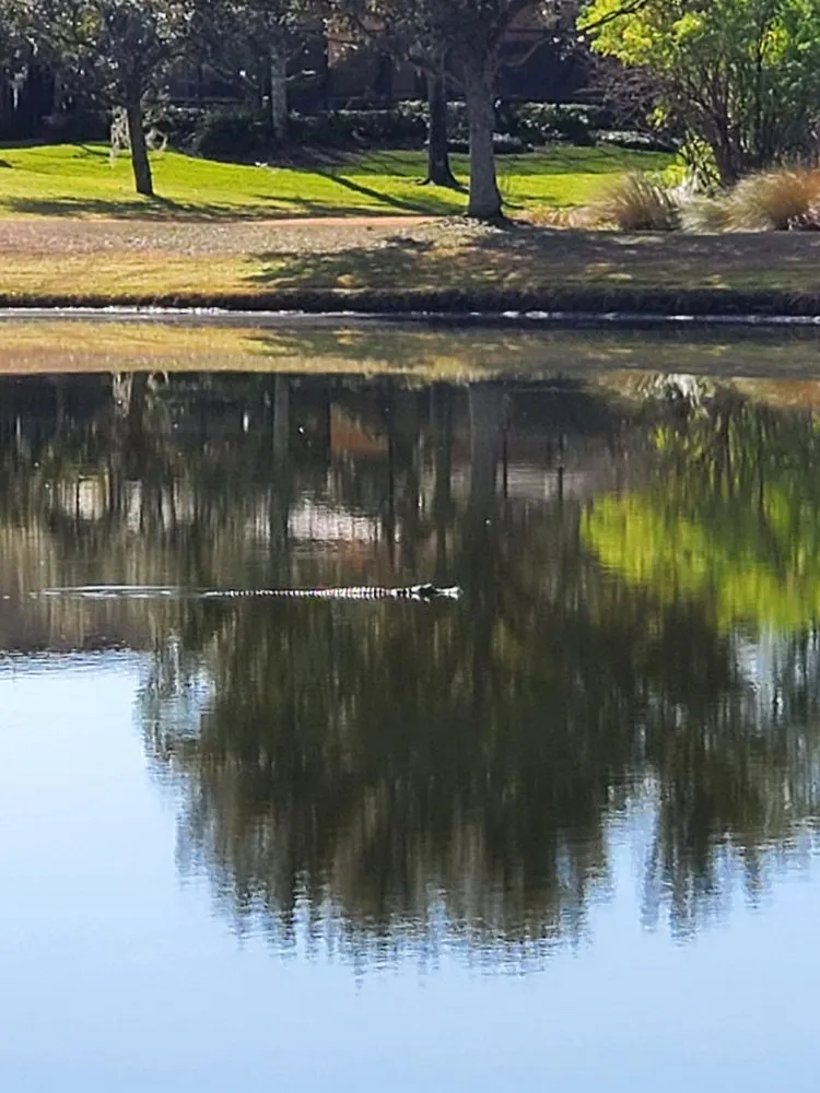 Slide of Foundation Roofing and Construction