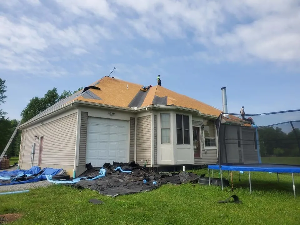 Slide of Four Paws Roofing & Remediation