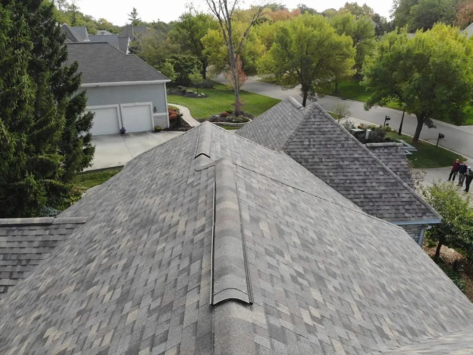 Slide of Four Paws Roofing & Remediation