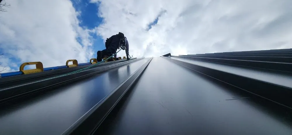 Slide of Four Paws Roofing & Remediation