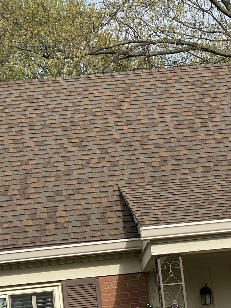 Slide of Four Paws Roofing & Remediation