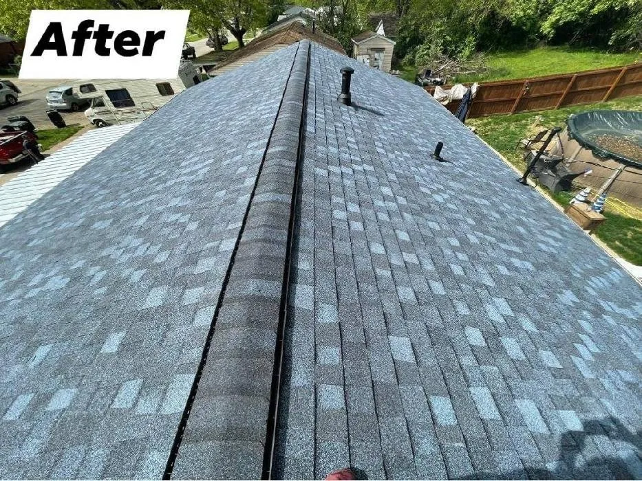 Slide of Four Paws Roofing & Remediation