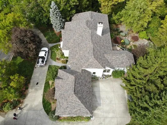 Four Paws Roofing & Remediation