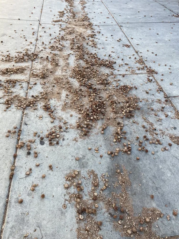 Slide of Four Seasons Roofing