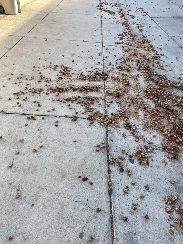 Slide of Four Seasons Roofing