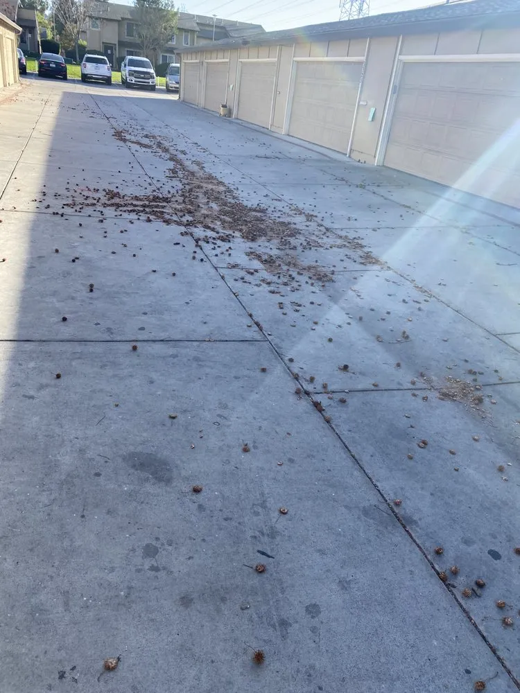 Slide of Four Seasons Roofing