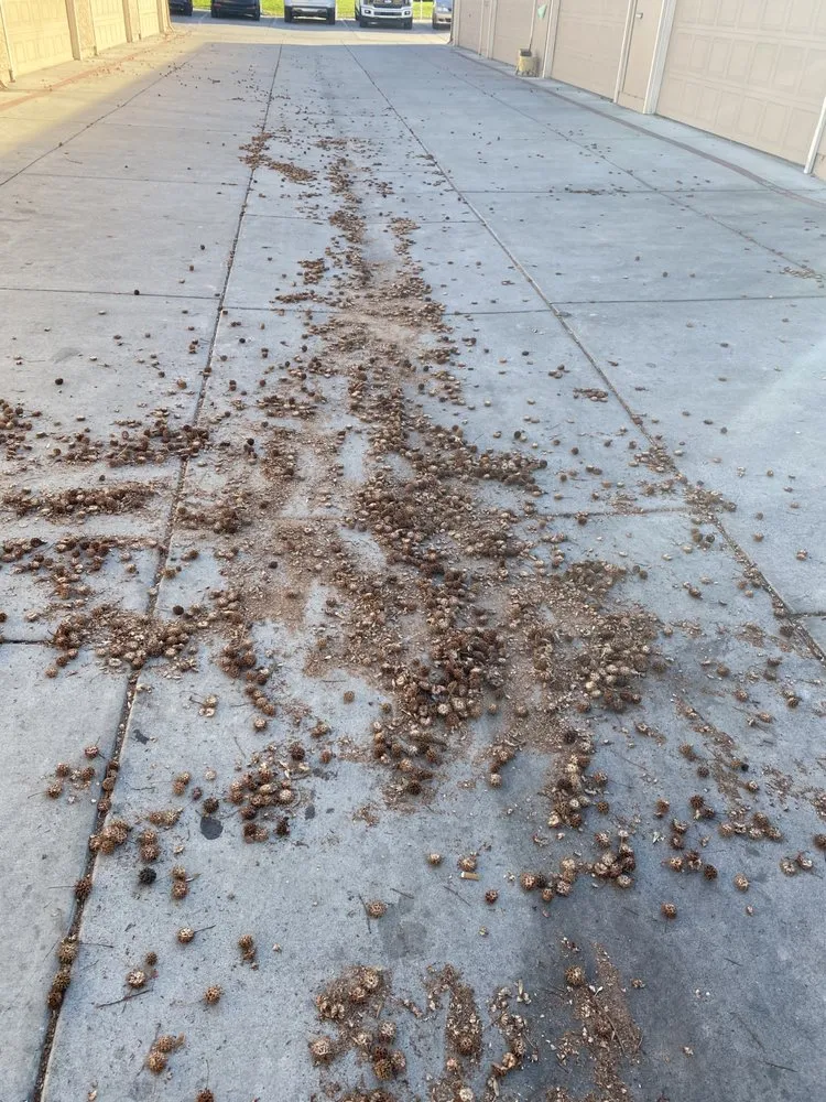 Slide of Four Seasons Roofing