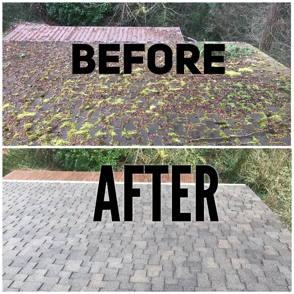 Slide of Four Sons Pressure Washing