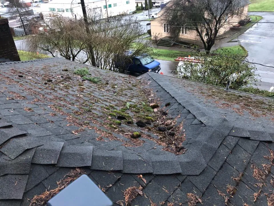 Slide of Four Sons Pressure Washing