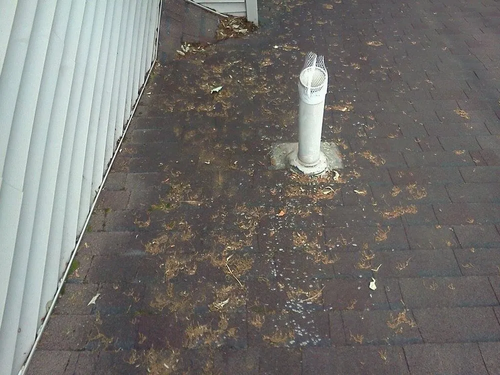 Slide of Four Square Roof Cleaning