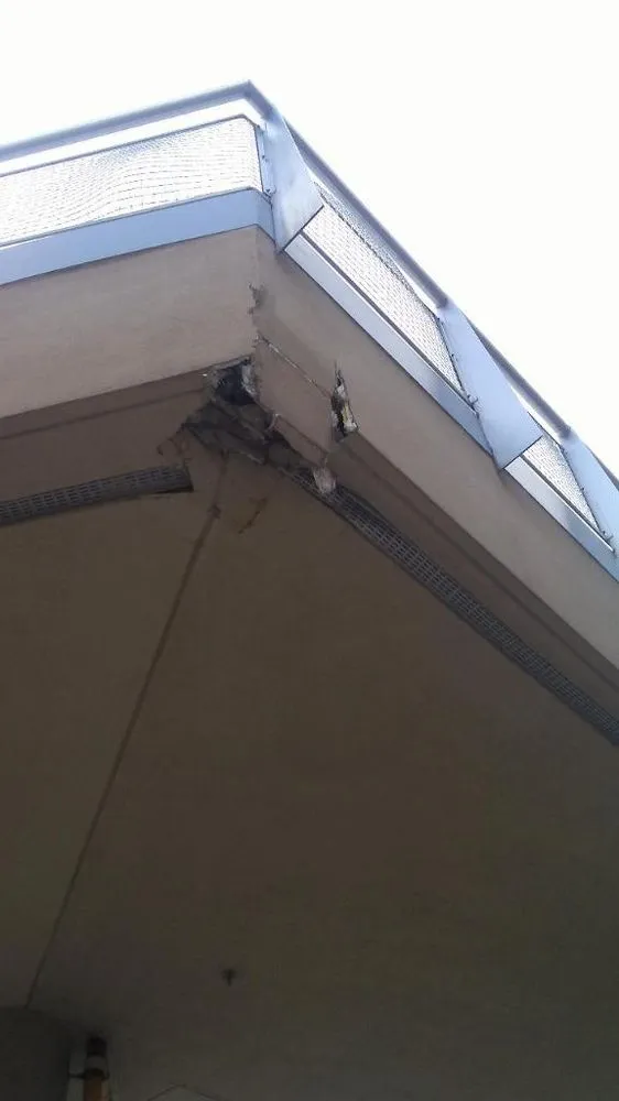 Slide of Fox Stucco Details And Residential Jobs