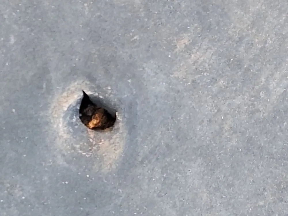 Slide of Fraley Roofing