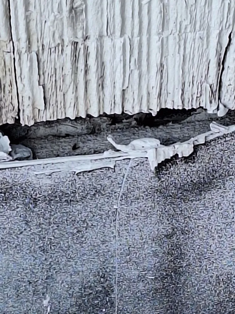 Slide of Fraley Roofing