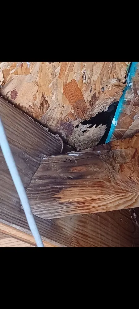 Slide of Frame Restoration