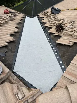 Francis Roofing Solutions Logo