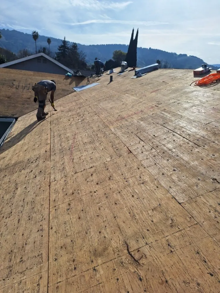 Slide of Francisco's Handyman