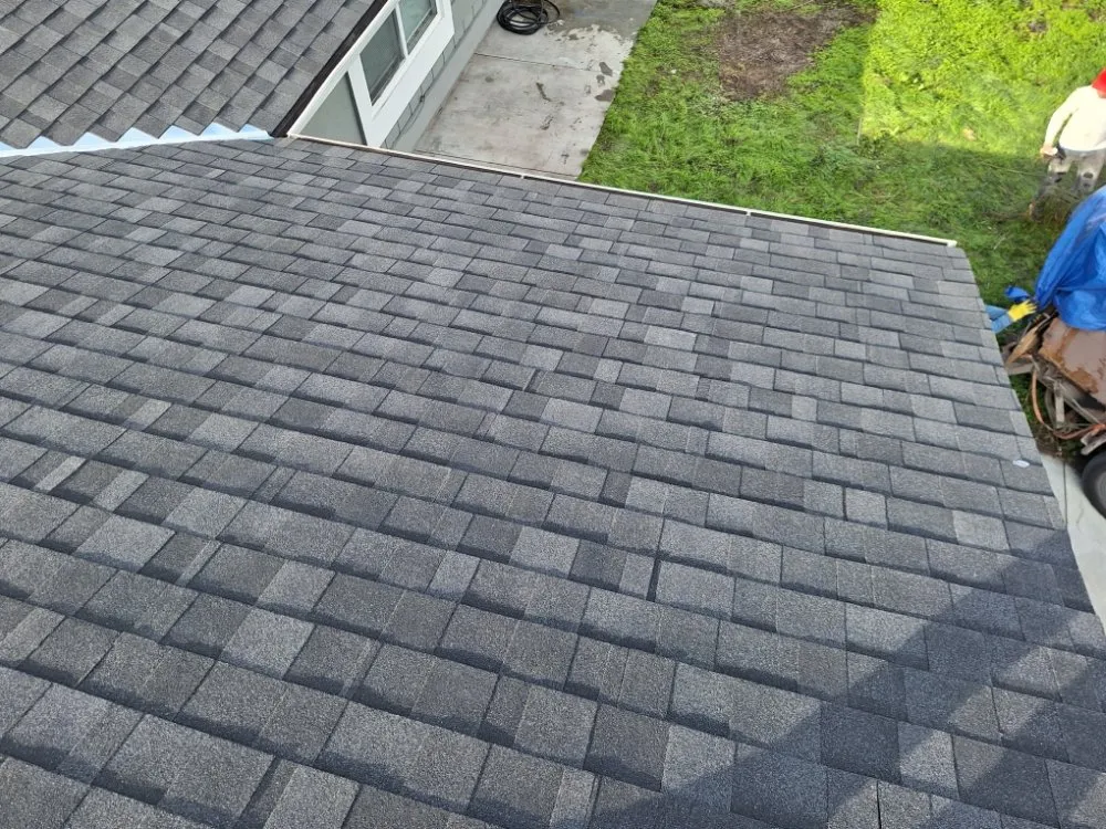 Slide of Francisco's Handyman