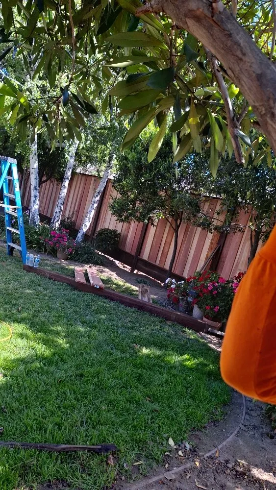 Slide of Francisco's Handyman