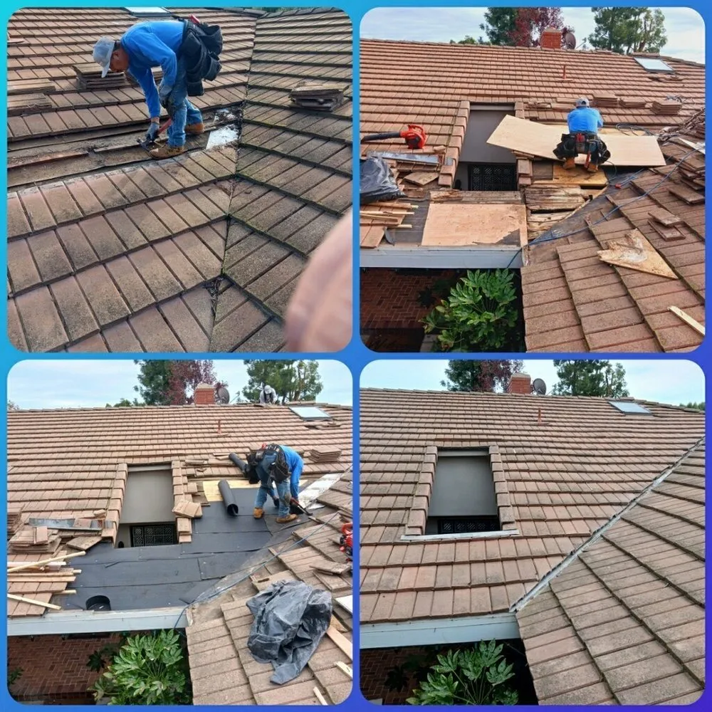 Slide of Francisco's Roof Maintenance