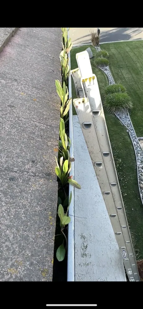 Slide of Frank Elevation Property Maintenance