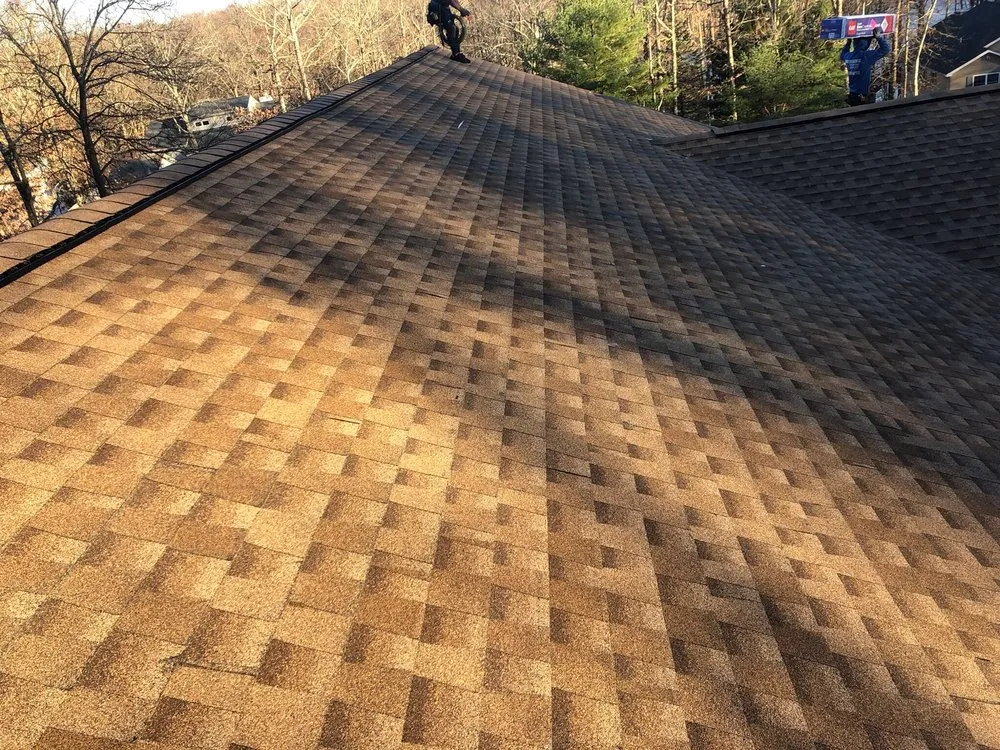 Slide of Frankie Contractor