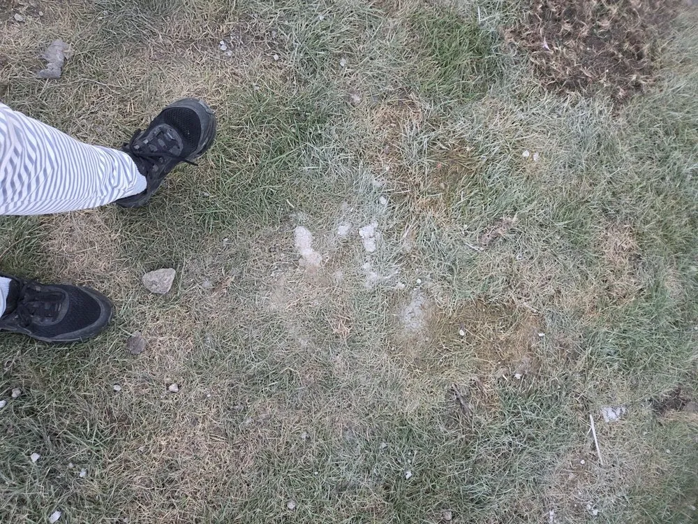 Slide of Fredd Construction