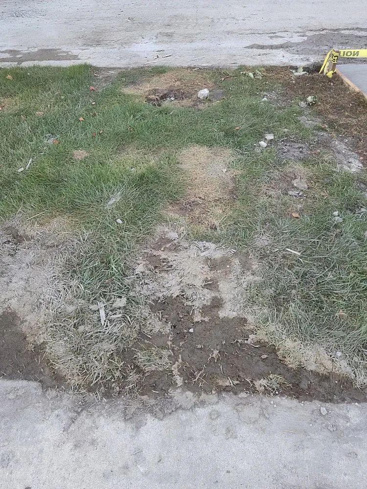 Slide of Fredd Construction