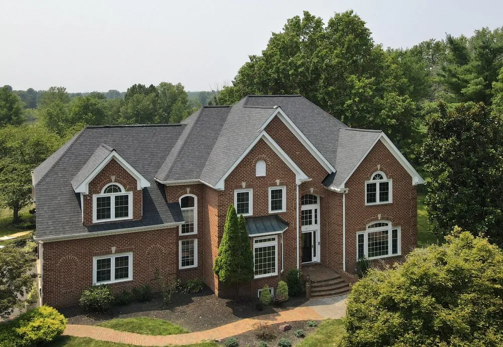 Slide of Freddy and Son