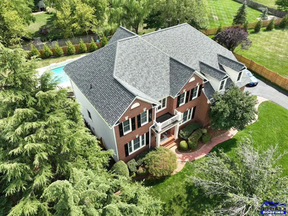 Slide of Freddy and Son