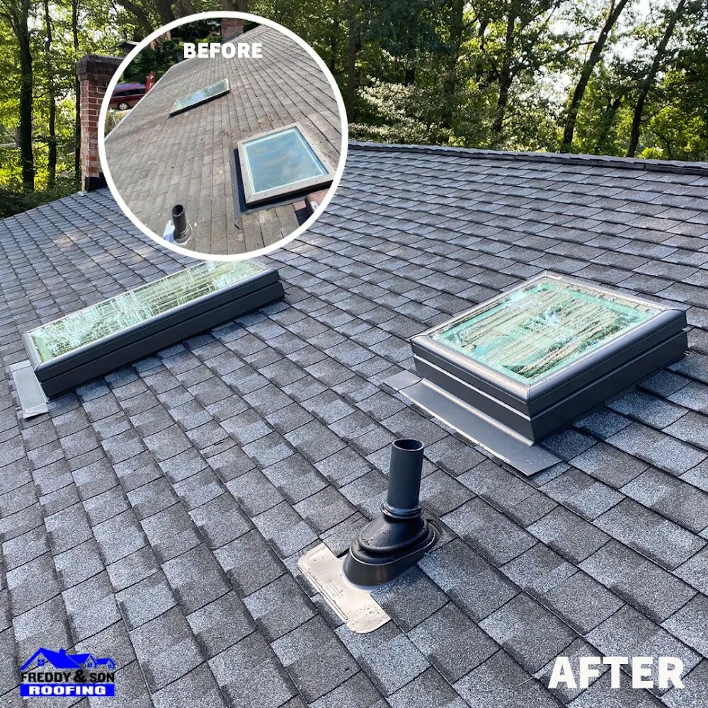 Slide of Freddy and Son