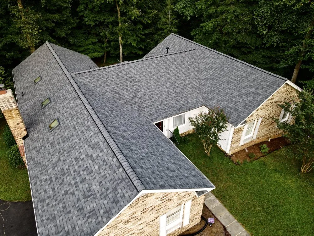 Slide of Freddy and Son