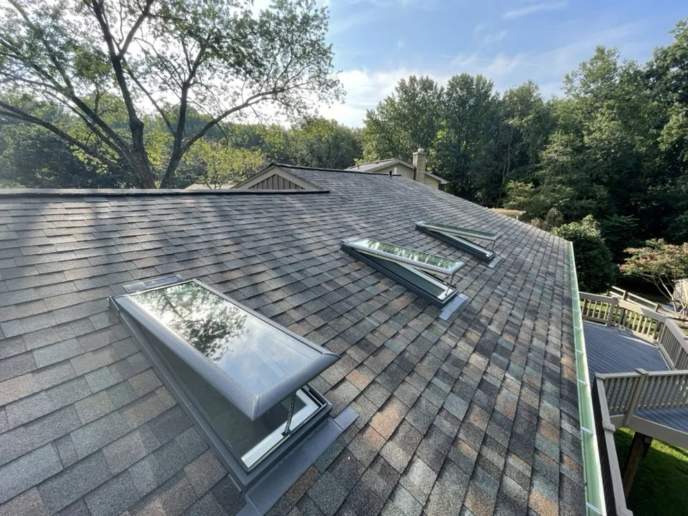 Slide of Freddy and Son