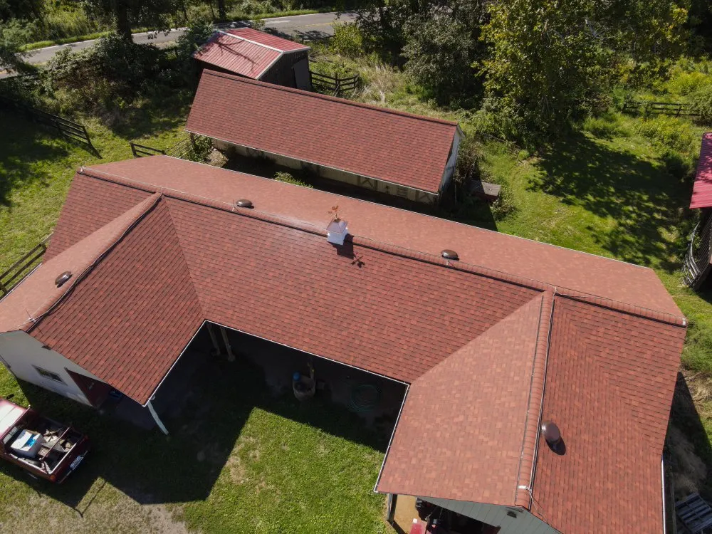 Slide of Freddy and Son