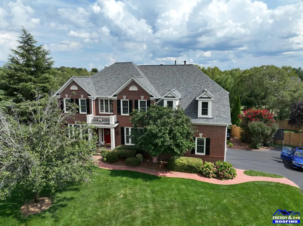 Slide of Freddy and Son