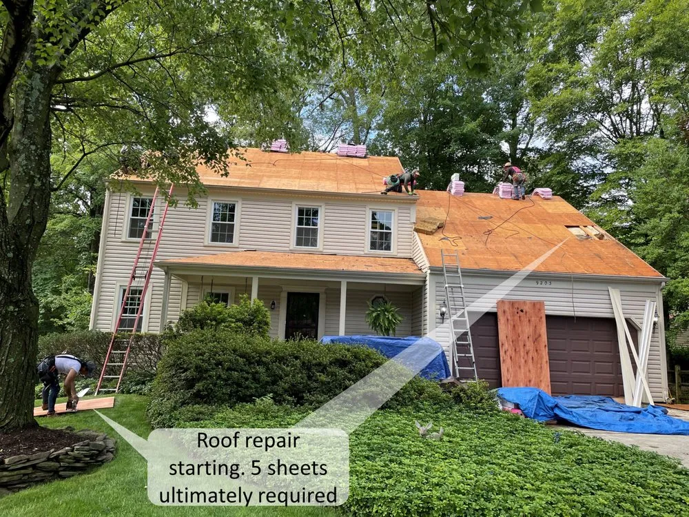 Slide of Freddy and Son