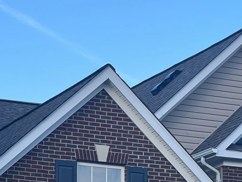 Slide of Freddy and Son