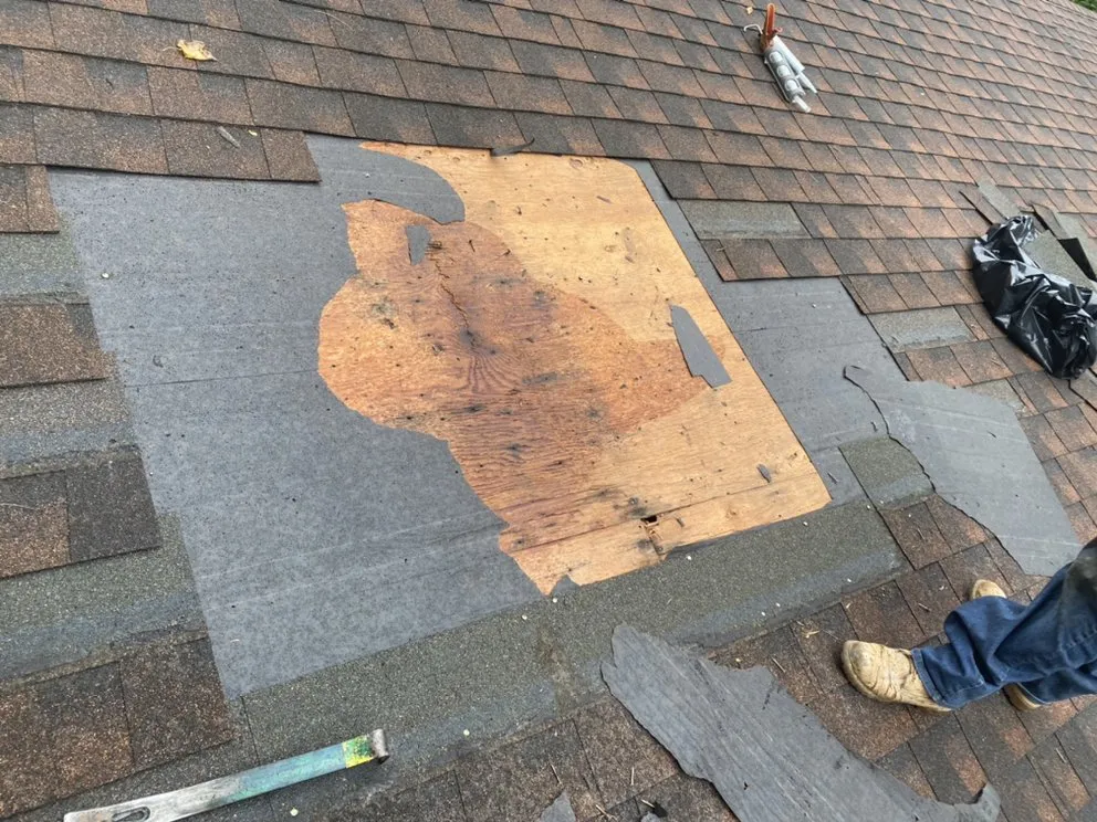 Slide of Freddy Chimney & Construction