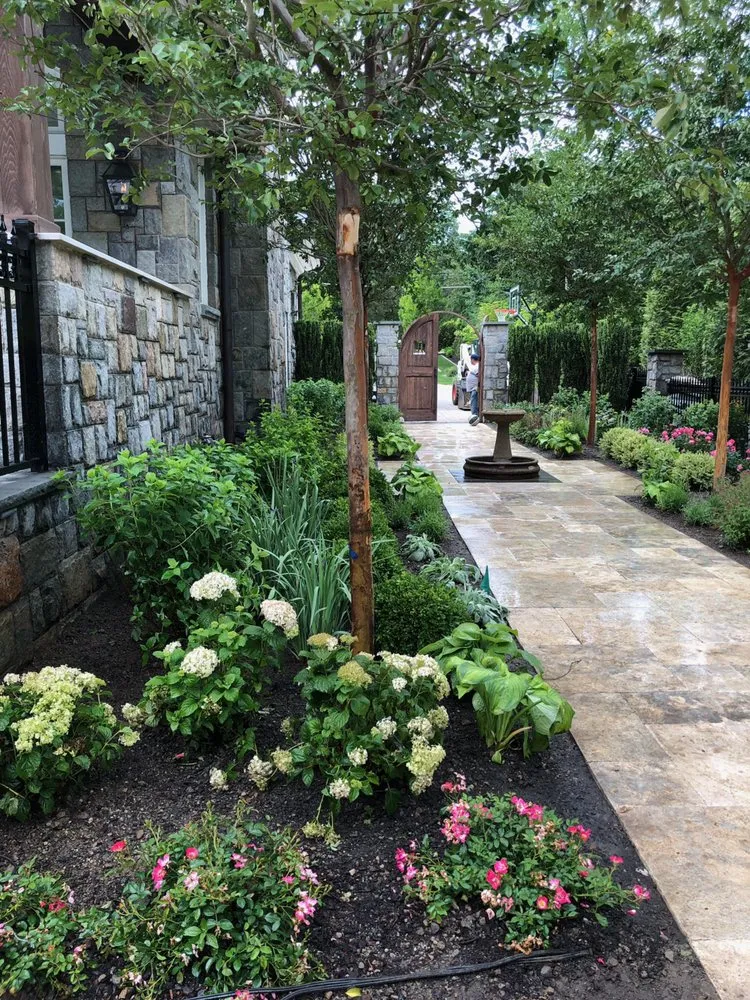 Slide of Freddy Chimney & Construction