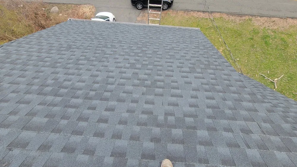 Slide of Freddy Remolding