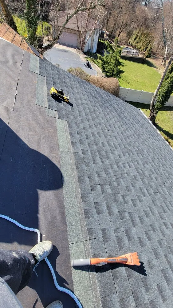 Slide of Freddy Remolding