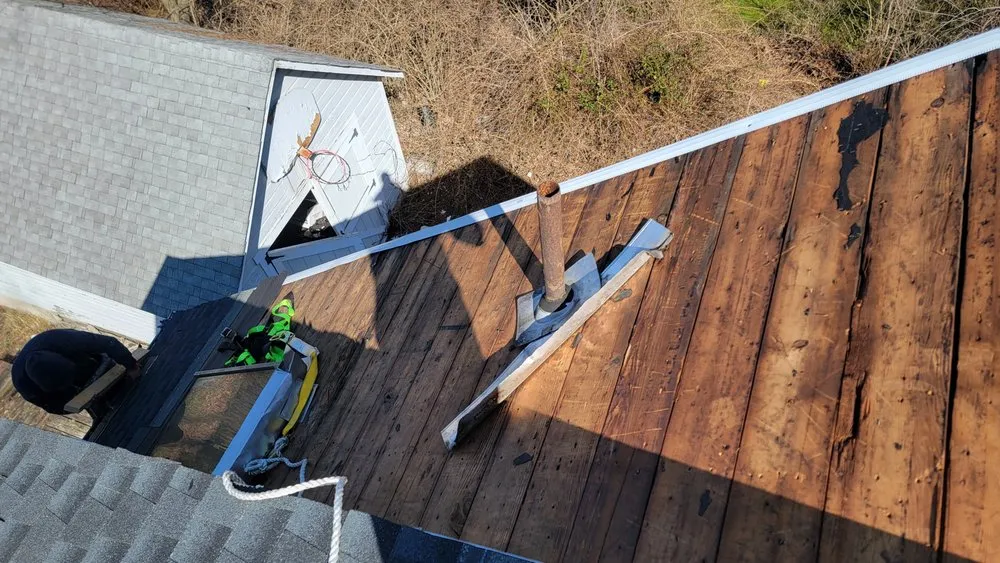 Slide of Freddy Remolding