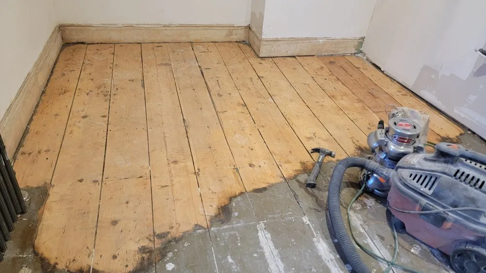 Slide of Freddy Remolding