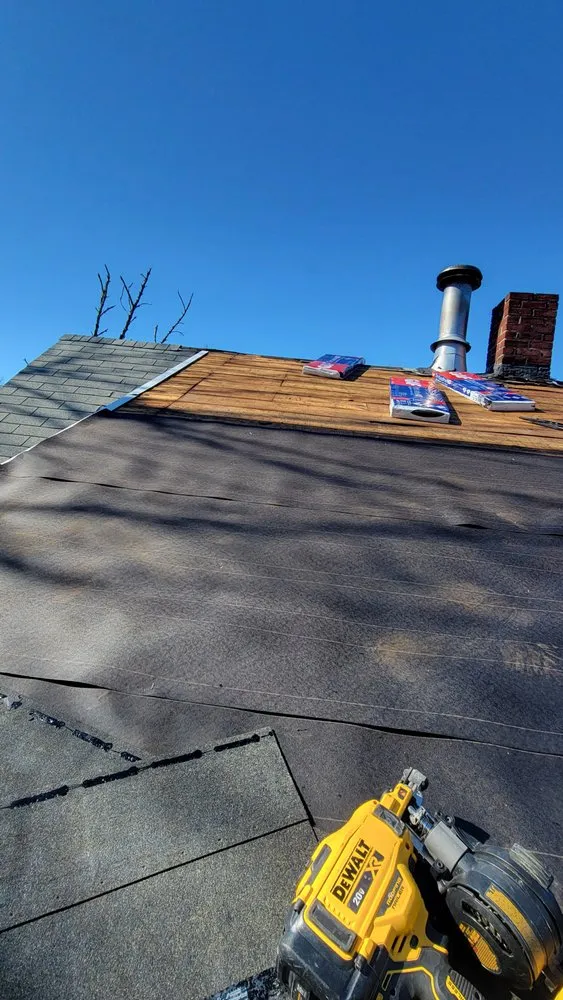 Slide of Freddy Remolding