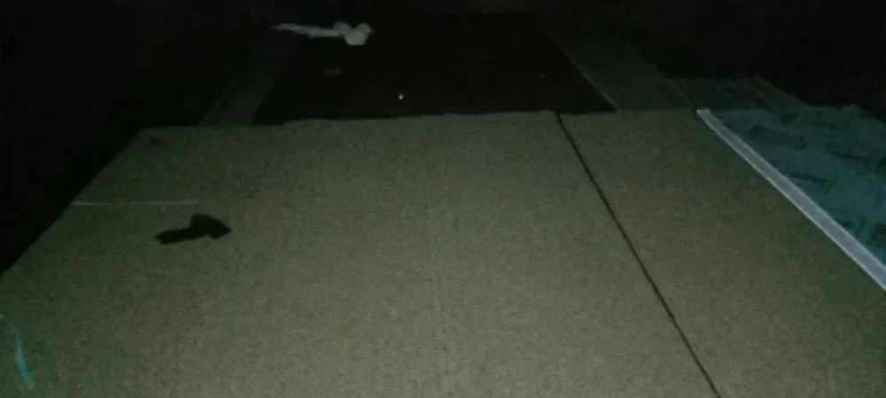 Slide of Freebirds Power Washing & Handyman Services