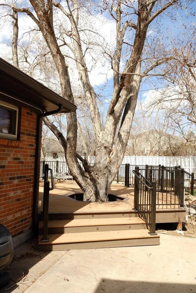 Slide of Freedom Deck Builders of Castle Rock