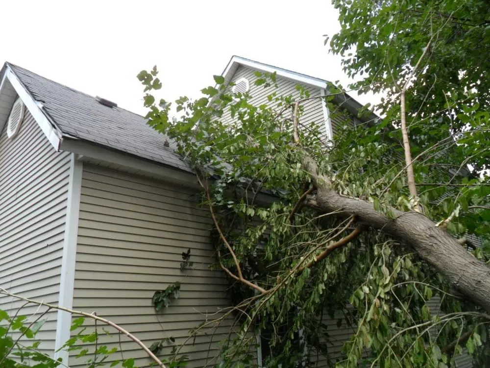 Slide of Freedom Restoration & Remodeling