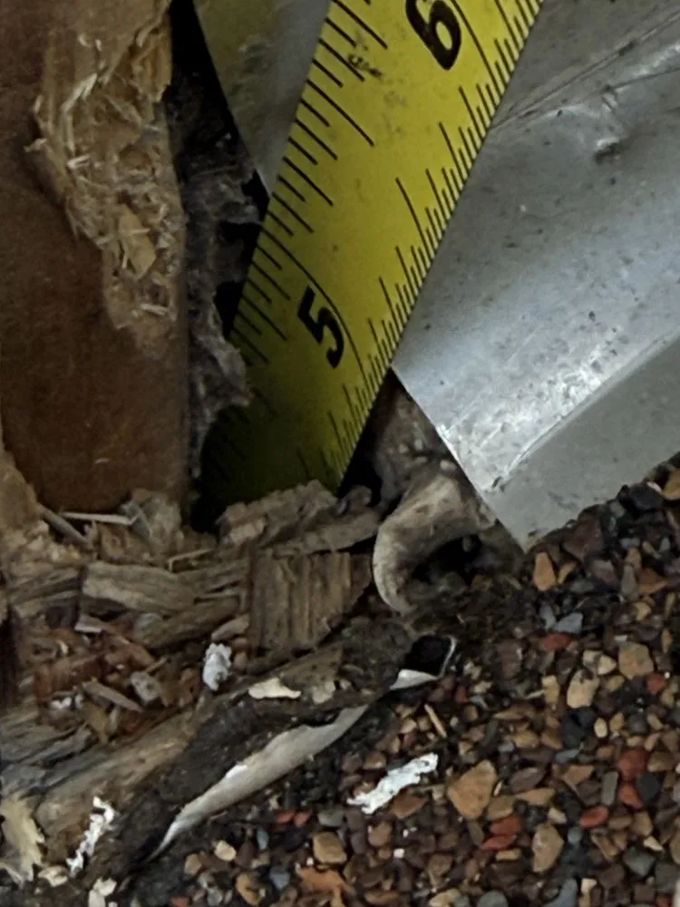 Slide of Freedom Roofing and Windows